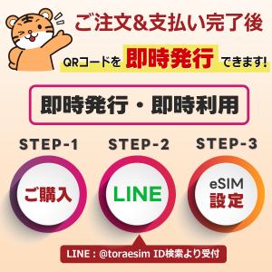 韓国 eSIM | 7日間 | 5GB 使い切...の詳細画像1