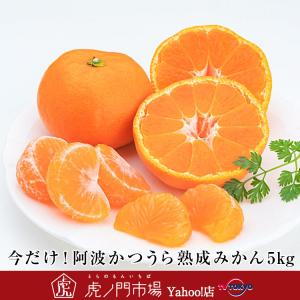 今だけ！阿波かつうら熟成みかん