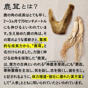 【第(2)類医薬品】疲れた身体に若々しい活力を...の詳細画像4