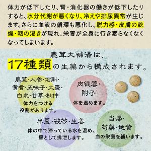 【第(2)類医薬品】疲れた身体に若々しい活力を...の詳細画像5