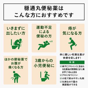 お腹が痛くなりにくい 漢方 便秘薬 穏通丸(指...の詳細画像2