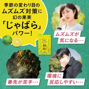 じゃばら サプリメント 3個セット 和歌山県北...の詳細画像1