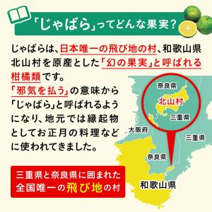 じゃばら サプリメント 3個セット 和歌山県北...の詳細画像2