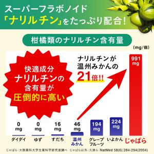 じゃばら サプリメント 和歌山県北山村産 花粉...の詳細画像3