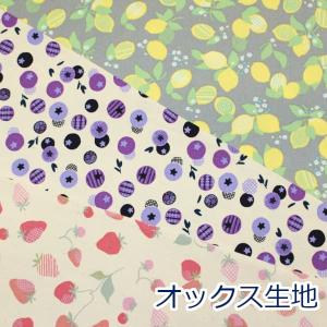 生地 布 NINA フルーツ 果物 北欧風 オックス 綿100％ 約110cm幅 小泉ライフテックス 142-1365 ゆうパケット2ｍ対応 10cm単位価格