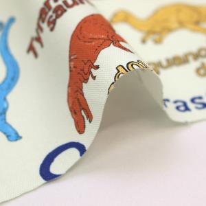 生地 布 消しゴム風 ダイナソー 英字 恐竜 ...の詳細画像2