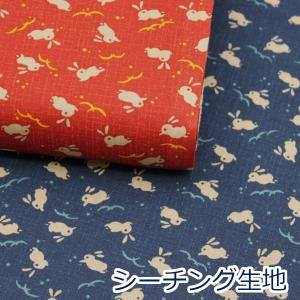 生地 布 野うさぎの走り 兎 ほっこり和柄 定番...の商品画像
