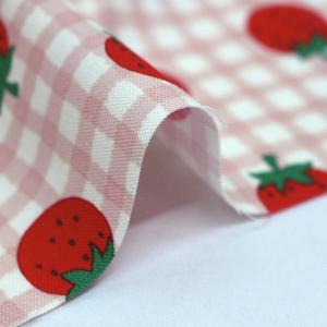 生地 布 ストロベリー チェック くすみカラー...の詳細画像2