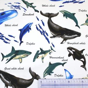 生地 布 色んなサメ サメ図鑑 シャーク 魚 ...の詳細画像1