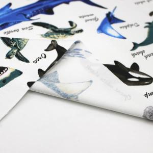生地 布 色んなサメ サメ図鑑 シャーク 魚 ...の詳細画像3