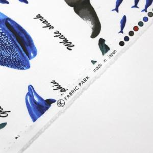 生地 布 色んなサメ サメ図鑑 シャーク 魚 ...の詳細画像4