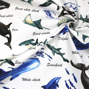 生地 布 色んなサメ サメ図鑑 シャーク 魚 ...の詳細画像5