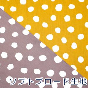生地 布 手書き風 水玉 ドットL 大さめ ラン...の商品画像