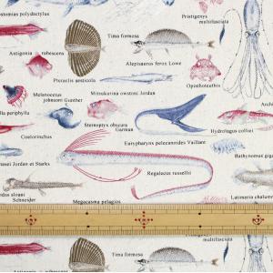 生地 布 深海魚図鑑 魚 綿ツイル 110cm...の詳細画像1