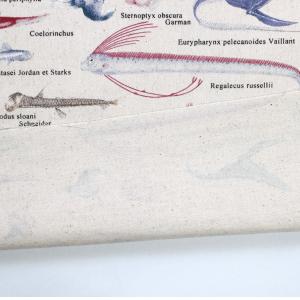 生地 布 深海魚図鑑 魚 綿ツイル 110cm...の詳細画像4