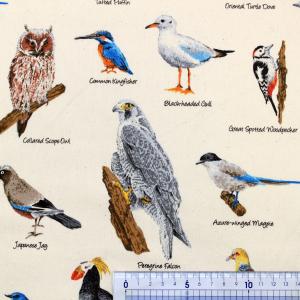 生地 布 とり図鑑 いろんな鳥たち コットンツ...の詳細画像1