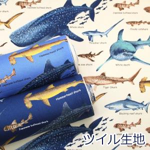 生地 布 サメ図鑑 シャーク サメツイル 海の生き物 魚 ツイル コットンこばやし 綿100％ 約110cm幅 KTS7019 ゆうパケット2ｍ対応 10cm単位価格｜toraya-fabric