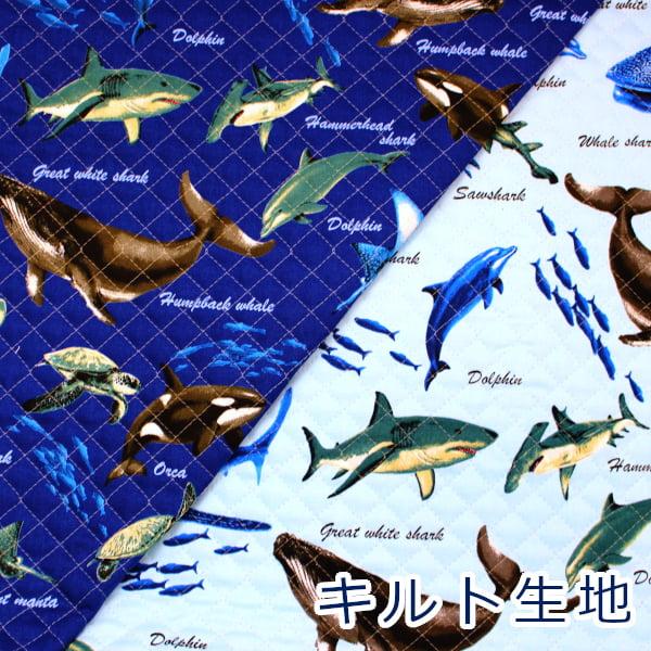 生地 布 キルト  色んなサメ サメ図鑑 シャーク 魚 オックス  キルティング 綿100％ 約10...