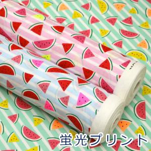 生地 布 蛍光プリント スイカ すいか 果物柄 ボーダー シーチング 綿100% 約110cm幅 SSUI ゆうパケット2.5ｍ対応 10cm単位価格