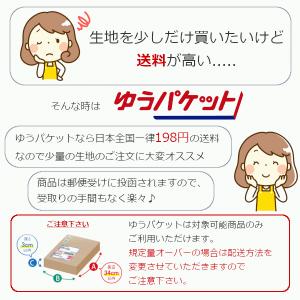 生地 布 クランボン接着芯地 中厚 オフ 不織...の詳細画像5