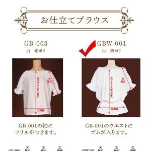 フラダンス衣装 ブラウス GBW-001 ブラ...の詳細画像2