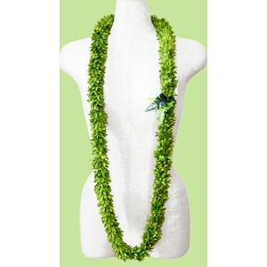 フラダンス ハワイアンレイ レイ フラワーレイ バンダオーキッドダブル