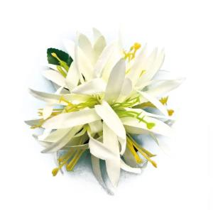 フラダンス ハワイアンレイ レイ フラワーレイ LHマイレチューブローズ