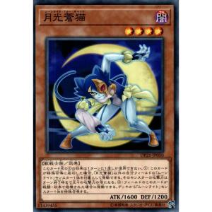月光蒼猫 【モンスター】 状態A ノーマル DP21-JP050 遊戯王OCG