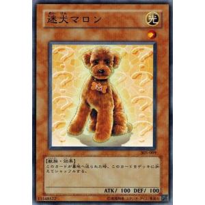 コナミデジタルエンタテインメント 遊戯王 中古ランクB(良い) 305-028