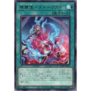 遊戯王オフィシャルカードゲーム デュエルモンスターズ POTE