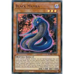 遊戯王 英語 EU版 方界 高レアリティ 遊戯王 英語 EU版 方界 高レアリティ 遊戯王 英語 EU版 方界 高