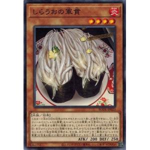 アクアマドール【シークレット】{QCLP-JP002} 4枚セット Yu-Gi-Oh! OCG/[QCLP] QUARTER CENTURY LIMITED PACK]Aqua