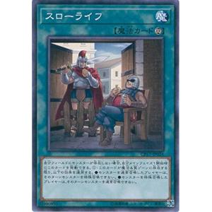 コナミデジタルエンタテインメント 遊戯王 307-040 光と闇の洗礼
