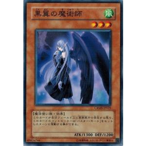 遊戯王 レインボー・ネオス ホロ PSA10 鑑定品 PSA10 極美品 最安値 世界115枚 レインボー・ネオス