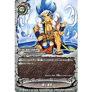 ブシロード バディファイト X-SS02/0035 煉獄騎士団団長 ディミオス