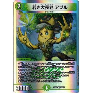 ポケモンカードゲーム ホップのザシアンex (SR) バトルパートナーズ