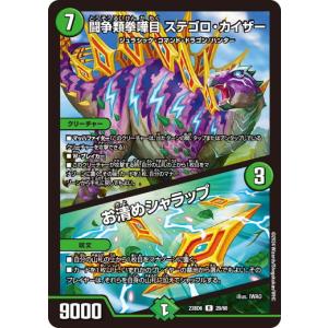 ゼニガメ スペシャルデッキセット 052/049 ポケモンカード　AR プロモ ゼニガメ スペシャルデッキセット 052/049 ポケモンカード AR