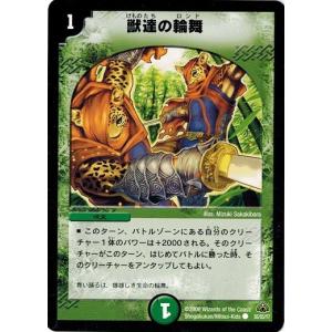 コナミデジタルエンタテインメント 遊戯王 TLM-JP035 E・HERO