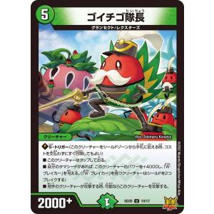 タカラトミー（TAKARA TOMY） デュエルマスターズ DMSD20 2/17