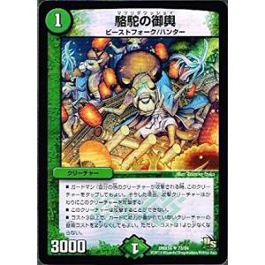 デュエル・マスターズ 英知ソロモニアス/DM32/エボリューション