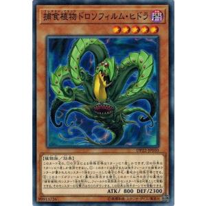 ダークネクロフィア レリーフ 遊戯王 Amazon.co.jp: 遊戯王 DP22-JP006 ダーク・ネクロフィア (日本語版