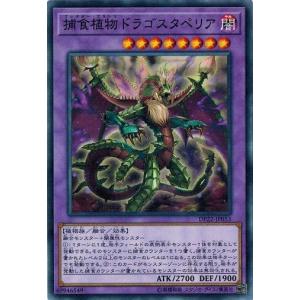 遊戯王 DP22-JP053 捕食植物ドラゴスタペリア レジェンドデュエリスト編5｜torekado0822