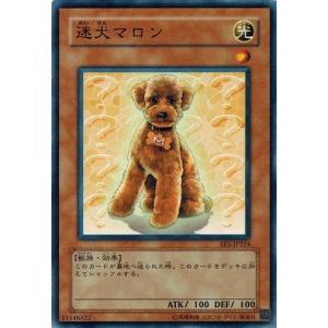コナミデジタルエンタテインメント 遊戯王 YAP1-JP009 柴戦士