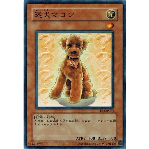 遊戯王 EE1-JP224 迷犬マロン  エキスパートエディション Volume.1