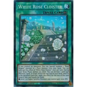 コナミデジタルエンタテインメント 開かれし大地 CF01-JP177 ウルトラ