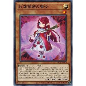 超美品 遊戯王 ブラックマジシャンガール Amazon.co.jp: 遊戯王OCG ブラック・マジシャン・ガール