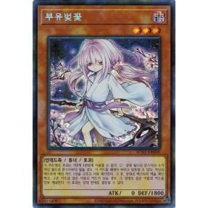 RR仕様】ヴァンガード D-PR/1458 エネルギー（員弁ナオ） (PR プロモ