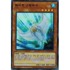 遊戯王 DOOD-JP026 教導の雷霆フルルドリス (日本語版