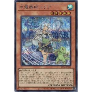 遊戯王オフィシャルカードゲーム デュエルモンスターズ 遊戯王カード