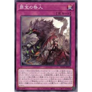 遊戯王オフィシャルカードゲーム デュエルモンスターズ 遊戯王カード